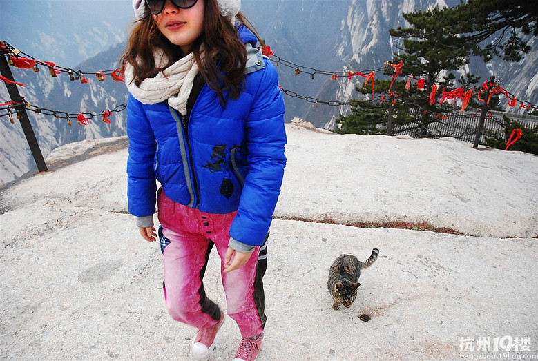 宿命的旅程--西安临潼乾陵华山自助游攻略-游记