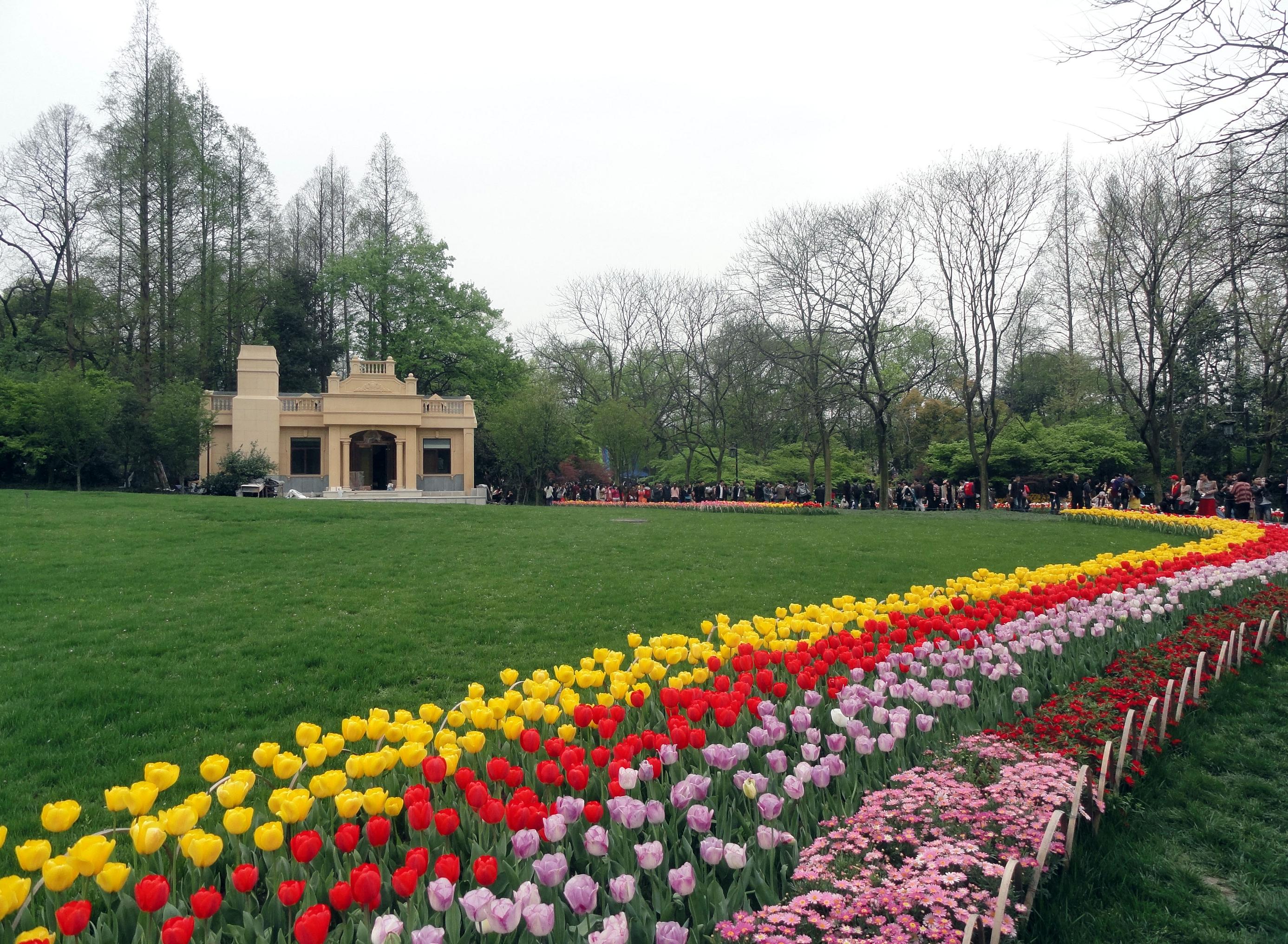 春天的太子湾-风景照-19摄区-杭州19楼