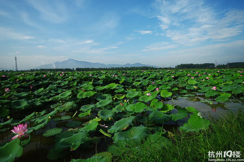 杭州富阳新沙岛