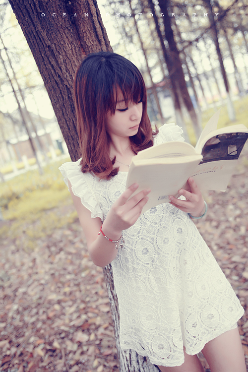 一书,一人,一时光[编辑]