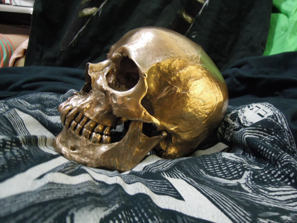 您是否见过真的人头骨?,这是 个人的头骨