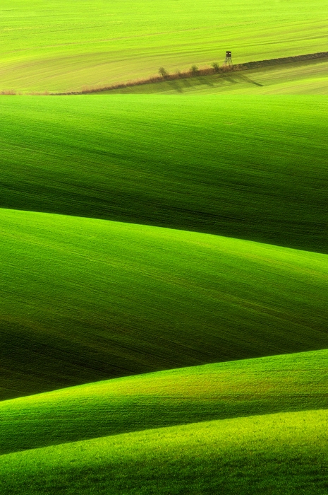 草原之春,大地的优美曲线