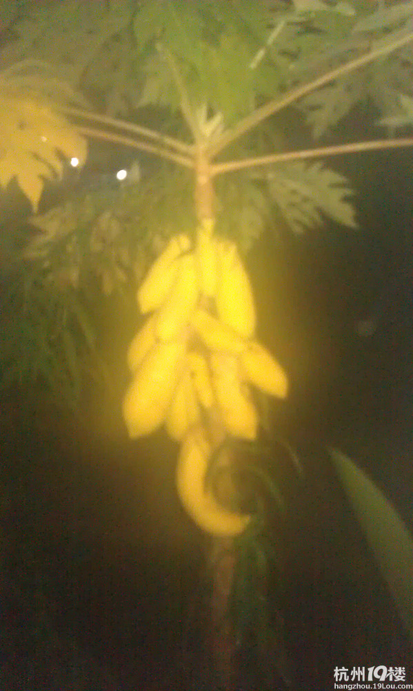 小记我的三月泰国甲米游①\(^o^)/~