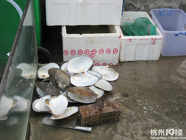 【8隊】錢塘江邊的美食新去處