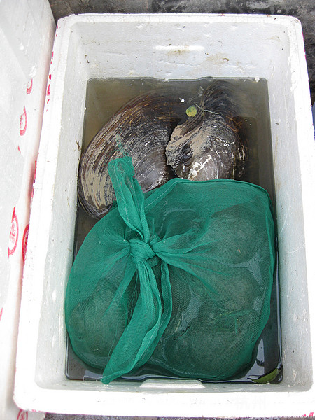 【8隊】錢塘江邊的美食新去處