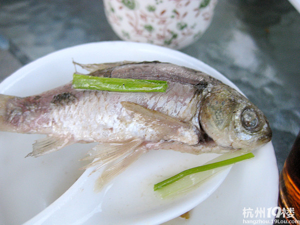 【8隊】錢塘江邊的美食新去處