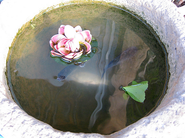 【8隊】錢塘江邊的美食新去處