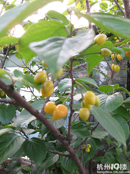【8隊】錢塘江邊的美食新去處