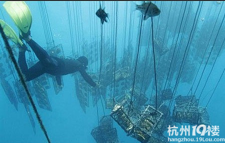 冷门职业收入惊人 飞机回收员年薪轻松过千万