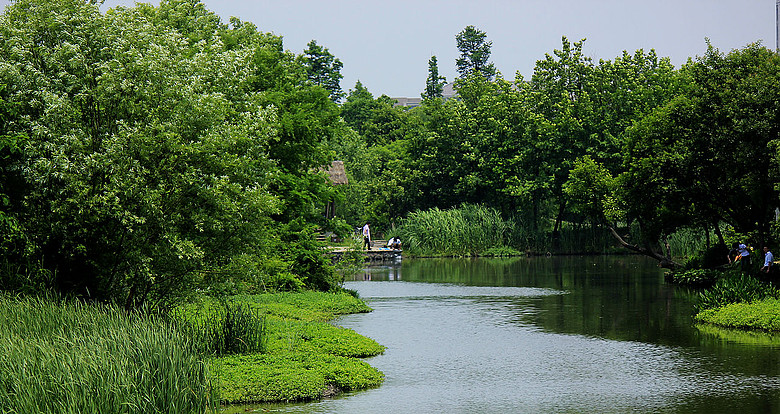 西溪湿地转一转,有美景,也有美女!-19摄区-杭州19楼