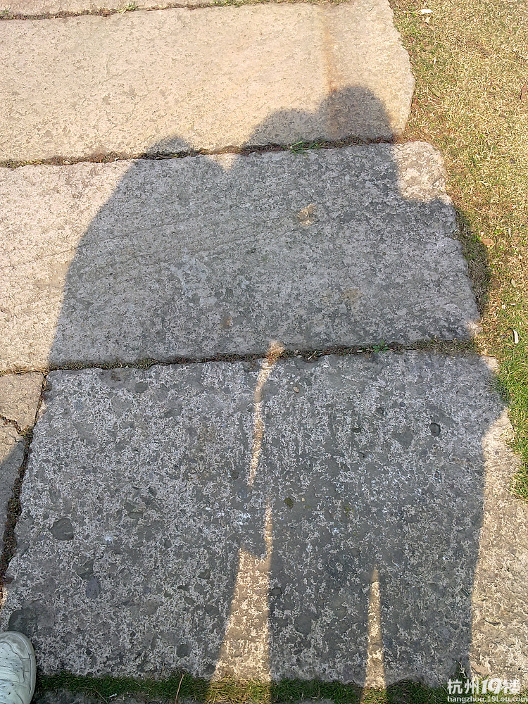 两个人在阳光下的影子,你侬我侬