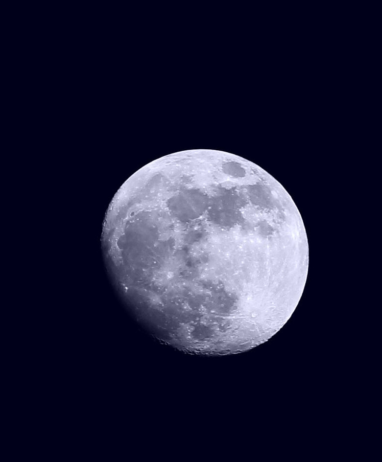 正月十三的月亮图片图片