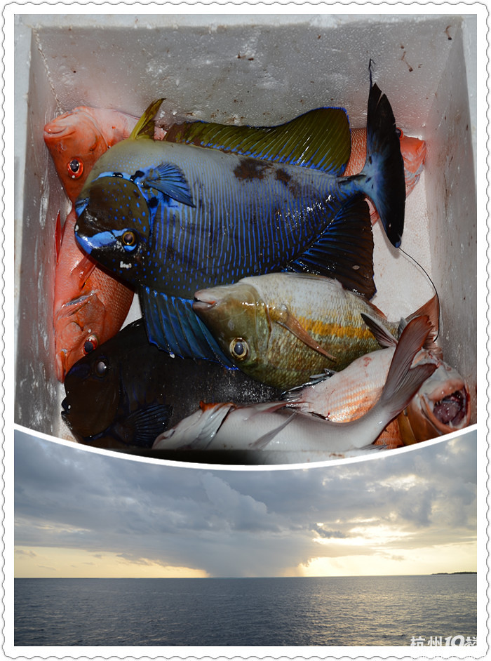 麥兜的馬爾代夫港麗島蜜月行——從6天4晚升級成8天6晚超詳細(xì)攻略