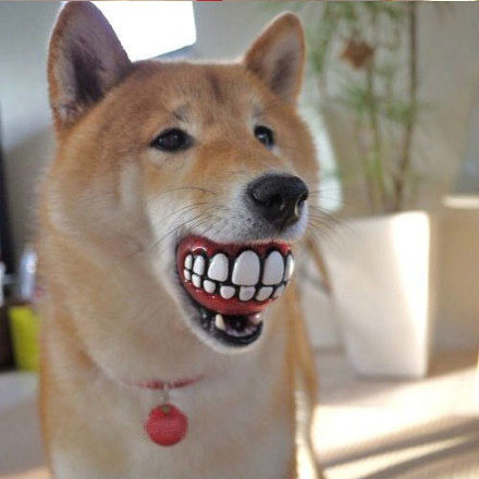 搞笑-手机随手拍-杭州19楼