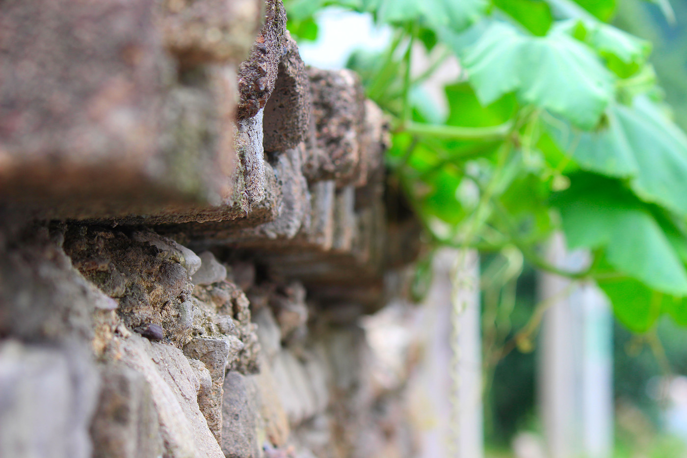 云石-边走边拍-杭州19楼