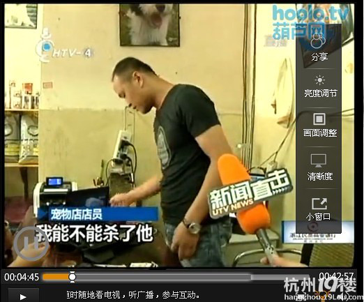 病狗游击队,专门卖病狗!营业执照都是有问题的