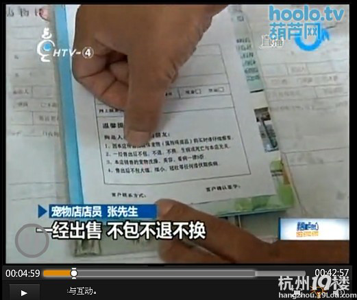 病狗游击队,专门卖病狗!营业执照都是有问题的