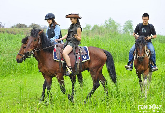星期六骑马活动报名啦!