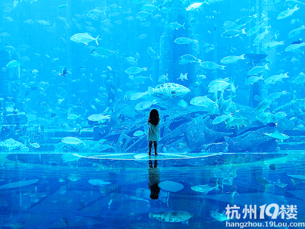 良晨美景