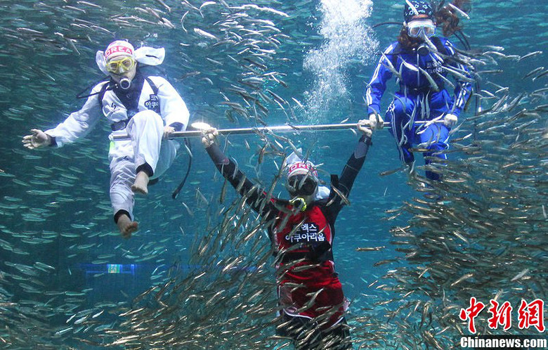 韩国趣味水下运动会 跆拳道举重别开生面 -创意-手机随手拍-杭州19楼