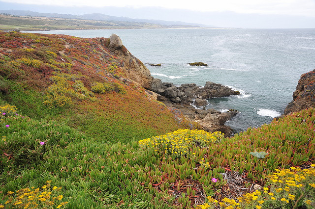 美国加州海岸行-游记攻略-旅游先遣队-杭州19