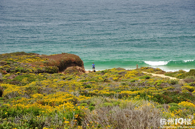 美国加州海岸行-游记攻略-旅游先遣队-杭州19