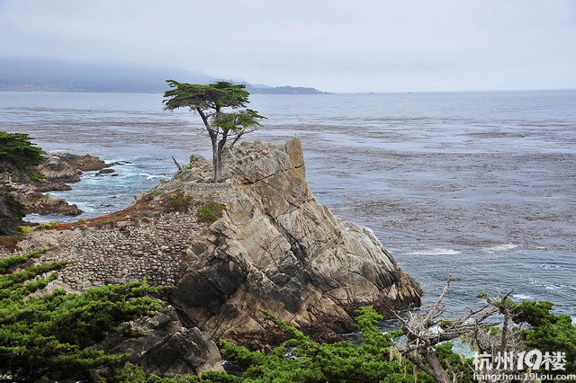 美国加州海岸行-游记攻略-旅游先遣队-杭州19