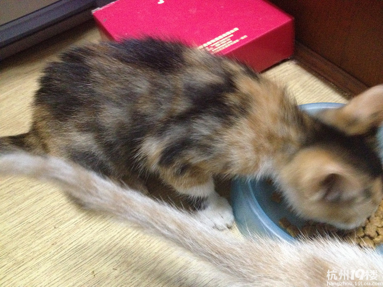 已送