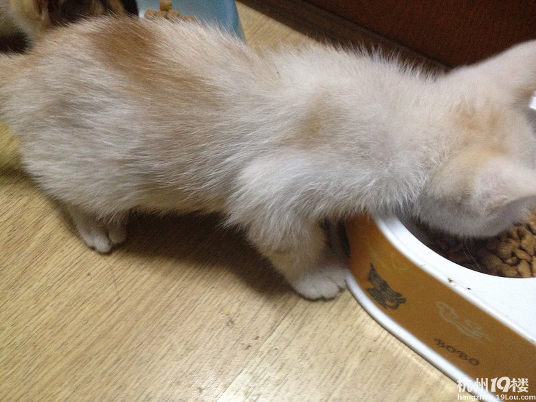 已送