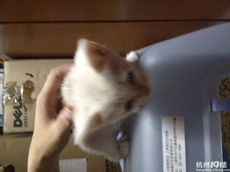 已送
