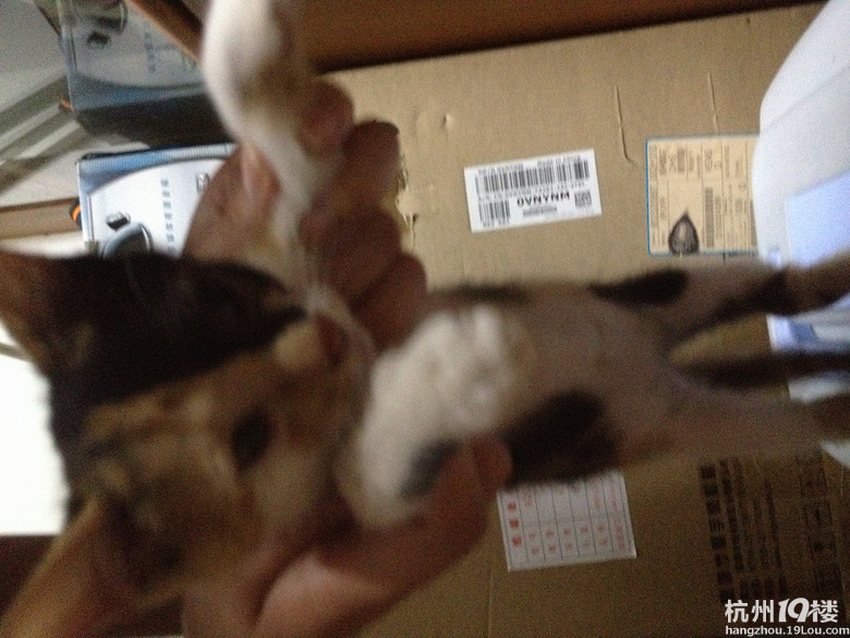 已送