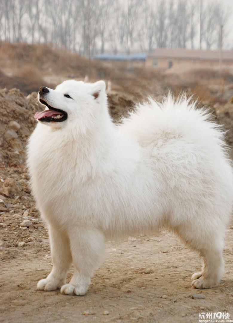 `(*∩_∩*)′ 进来看看吧 哇哇~!