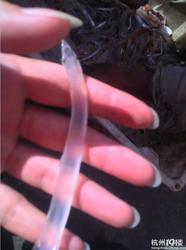 朋友带去舟山岱山岛玩了2天,真心不错 (带图)