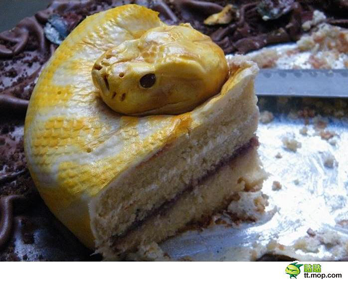 黄金蟒蛋糕图片