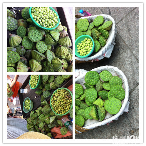 �？麃盹L(fēng)雨滿城，映藍(lán)送上抗臺大餐！