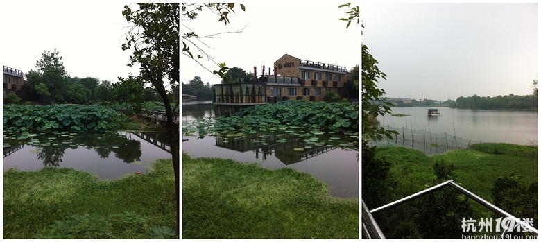 �？麃盹L(fēng)雨滿城，映藍(lán)送上抗臺大餐！