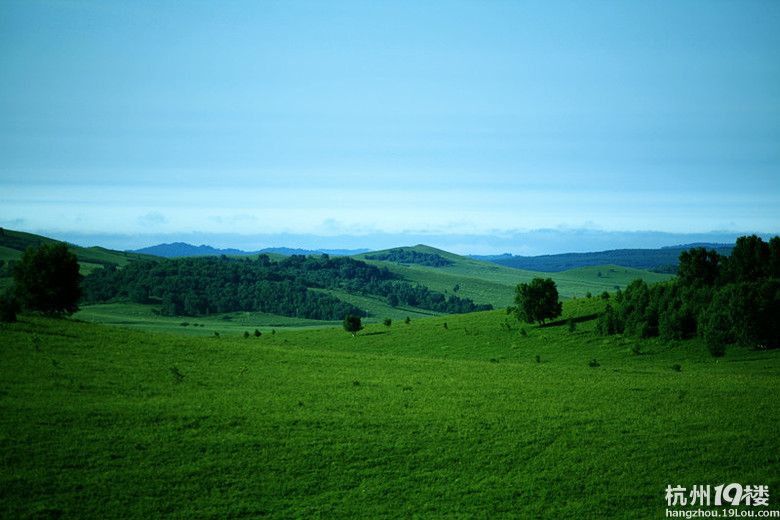 真实版《双城之恋》爱情微电影
