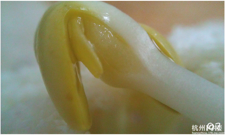 ●第一次玩真皮,给手机量身定做款小皮套吧【