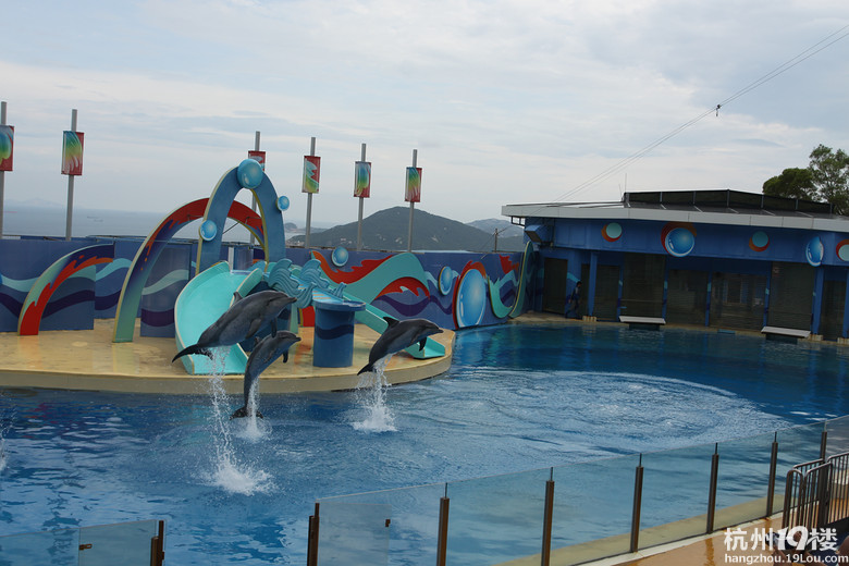 两家香港深圳5日自由行 从罗湖过关