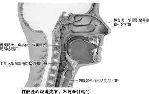 һƽÿСrͣ56.3LһΕͣ_(d)81룡 