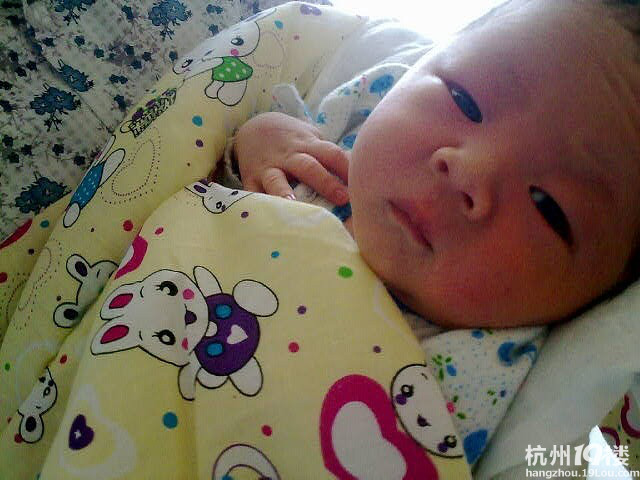 團子同學誕生記