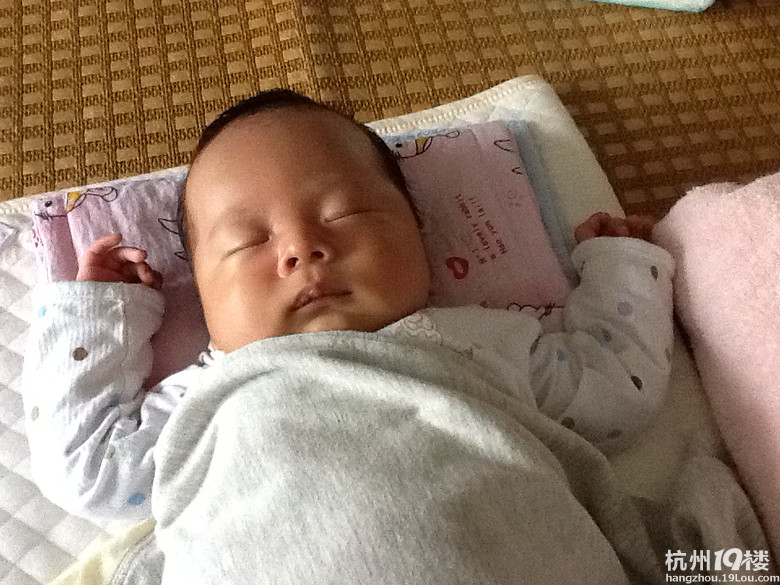 團子同學誕生記