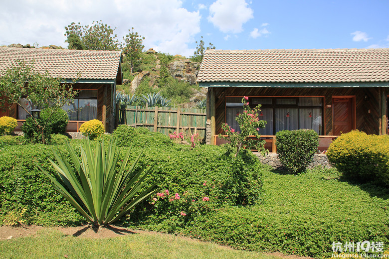 野性的召唤--2012暑假肯尼亚国家公园之行小记