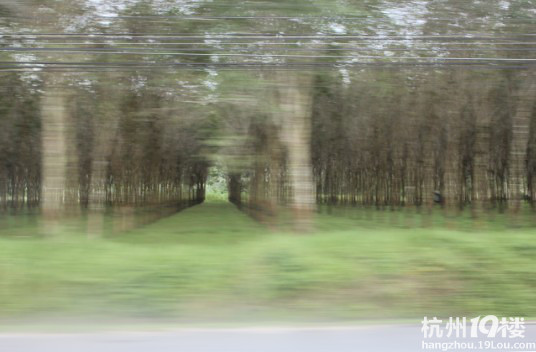 (du)ҰӈF(tun)̩Сռƪ
