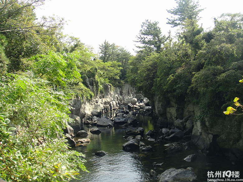 ݍu湥ԡHelloJeju!ԔιԡѸ