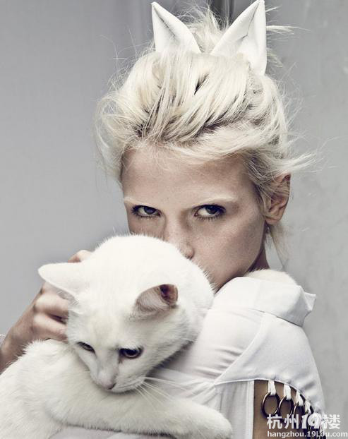 养猫女性更易有自杀倾向