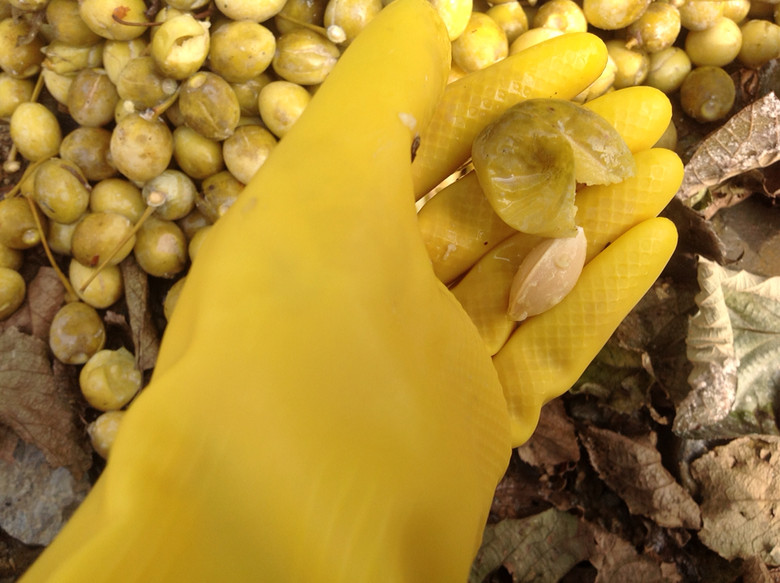 银杏-19楼私房菜-杭州19楼