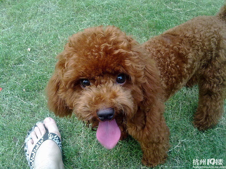 宝贝成长微记录---圆圆的幸福生活