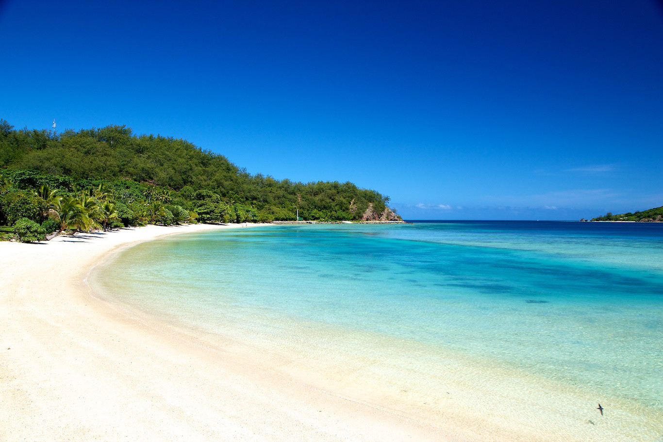 斐济游玩攻略——食色斐济@likuliku