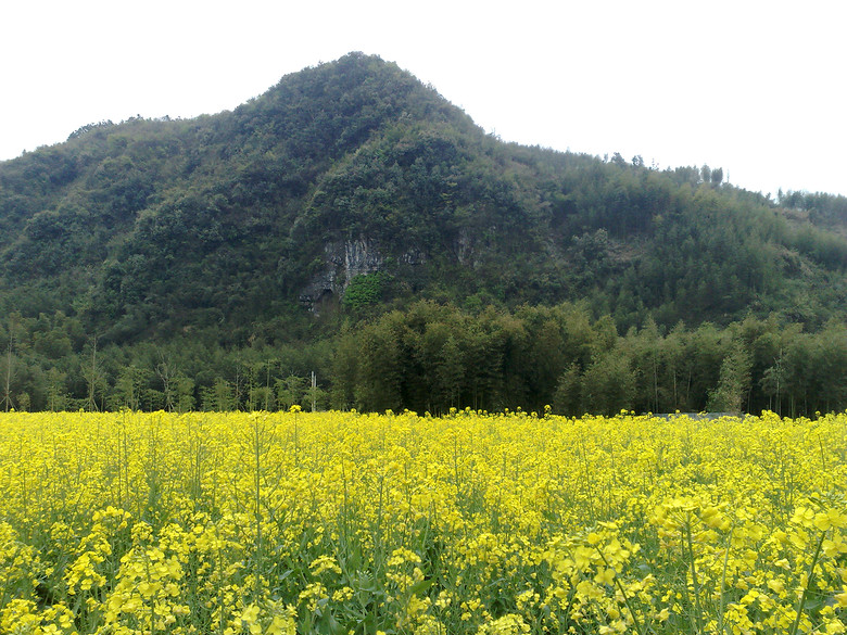 杭州臨安昌化(國寶雞血石之鄉(xiāng))自助游農(nóng)家樂自薦--龍澤人家